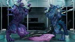16:9 2025 3d 3d_(artwork) alien alien_(franchise) aquatic back_spikes big_muscles big_penis biped black_penis blue_body bondage bound digital_media_(artwork) digitigrade duo expansion fish flared_penis forced genital_expansion genitals grimace hi_res huge_cock hybrid hyper hyper_genitalia hyper_penis inner_mouth inside karkhar knot laboratory male male_xenomorph muscular muscular_male nude penis penis_expansion purple_body purple_penis robotic_arm science_fiction sequence shark side_view snakehead404 snekkuu spiked_penis spiked_tail spikes spikes_(anatomy) standing syringe tail tapering_penis unusual_anatomy unusual_genitalia unusual_penis widescreen xenomorph