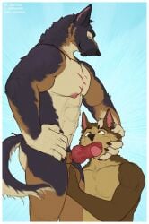 abs anthro anthro_on_anthro anthro_penetrated anthro_penetrating anthro_penetrating_anthro aroused aroused_by_another aroused_face aroused_male aroused_smile asatrua ball_fondling ball_grab balls bara barazoku biceps big_balls big_muscles big_pecs black_body black_fur blue_background bodily_fluids border brown_body brown_eyes brown_fur canid canine canis cerffou chest_scar claws closed_eyes domestic_dog dominant dominant_anthro dominant_male domination/submission duo erection eyebrows fellatio fondling fur furry gay genitals german_shepherd grabbing_head grope hand_on_balls hand_on_head hand_on_side head_grab head_rub hi_res holding_balls holding_head holding_side kneeling kneeling_oral_position knot knotted_penis licking looking_pleasured male male/male male_penetrated male_penetrating male_penetrating_male mammal manly muscular muscular_anthro muscular_arms muscular_male muscular_thighs nipples nude nude_anthro nude_male oral oral_penetration pecs penetration penile penile_penetration penis penis_in_mouth penis_lick rubbing_head saliva saliva_on_penis scar sex side_grab simple_background standing submissive submissive_anthro submissive_male sucking swallowing tail thick_arms thick_thighs tongue tongue_out white_body white_border white_fur wolf