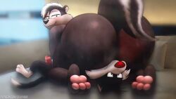 2boys 2d 30_seconds animated anthro anthro_on_anthro anus ass ass_in_face big_ass big_butt_(male) black_fur cock eating_ass erection face_in_ass facesitting fat_ass fat_thighs feline felis furry furry_only gay huge_ass looney_tunes male male/male male_only mephitid musk musk_clouds musky musky_butt naked nonhuman nude on_back on_bed paws penis pepe_le_pew rimming rimming_male short_playtime skunk skunk_tail sniff sniffing sniffing_ass sound sound_warning sweat sweaty sweaty_ass sylvester_(looney_tunes) tagme thick_thighs thighs tongue twitter_link video warner_brothers yaoi zexyprof