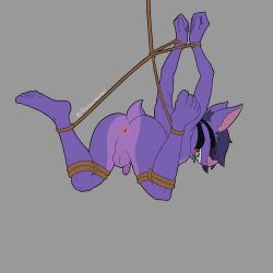 1:1 absurd_res anthro anus ass backsack ball_gag balls bat battison_batthew_(jamison_hawkes) blindfold bondage bound breasts feet flaccid foreskin gag gagged genitals gynomorph hanging_breasts hi_res intersex jamison_hawkes mammal nipples nude open_mouth penis perineum rear_view solo suspension suspension_bondage teeth