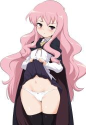 louise francoise le blanc de la valliere from zero no tsukaima by momio