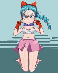 bulma_briefs dragon_ball tagme teenage_bulma