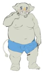 anthro belly blue_eyes blush elephant elephantid flaccid genitals grey_body male mammal moobs navel nipples overweight p1c0_p1c0 penis poking_out proboscidean proboscis_(anatomy) solo trunk_(anatomy) tusks