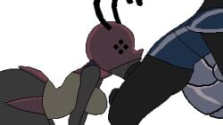 1boy 1girls animated anthro beat_banger big_ass big_butt blowjob breasts dataman21_(mod_artist) dataman21_(mod_creator) deepthroat face_fucking female god_tamer hollow_knight oral sucking_penis tagme tiso_(hollow_knight)