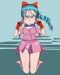 bulma_briefs dragon_ball dragon_ball_z tagme teenage_bulma