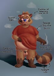 absurd_res anthro balls belly big_belly brown_body chastity_cage chastity_device clothed clothing clothing_lift cum_stain digital_media_(artwork) drugs english_text fur genitals hi_res looking_at_viewer male mammal marijuana musk overweight overweight_anthro overweight_male penis procyonid raccoon shirt shirt_lift siblu sibluself simple_background small_penis smoke smoking solo tail text topwear