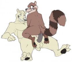 anal anal_sex anthro duo male male/male mammal on_top overweight overweight_male penetration polar_bear procyonid raccoon reverse_cowgirl_position ripley_cooney_(character) sex size_difference slightly_chubby ursid ursine weaselgrease