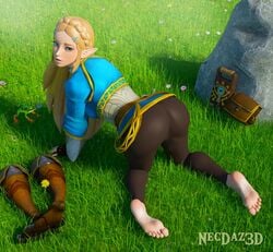 1girls 3d all_fours ass barefoot big_ass blonde_hair breath_of_the_wild clothed dat_ass feet female female_only foot_fetish frog grass green_eyes long_hair looking_at_viewer looking_back looking_up necdaz91 nintendo outside princess_zelda shoes_removed skin_tight soles solo the_legend_of_zelda tight_clothing tight_pants zelda_(breath_of_the_wild)