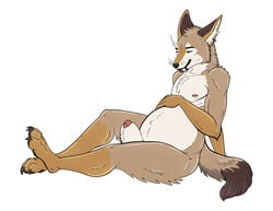 animal_genitalia anthro canid canine canis coyote coyzoi digitigrade genitals hand_on_stomach large_sheath male male_only male_pregnancy mammal nude pregnant reclining sheath sitting solo tenaro