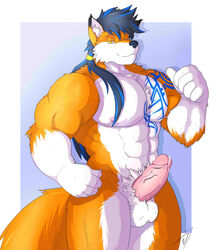 alty anthro canid canine dragonslash fox fur genitals hair hi_res humanoid_genitalia humanoid_penis long_hair male male_only mammal muscular muscular_male orange_body orange_fur penis solo