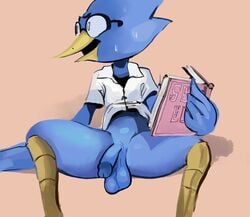 1boy 2020 anthro avian balls beak berdly big-fig bird blue_balls blue_body blue_feathers blue_penis bodily_fluids book bottomless circumcised clothed clothing deltarune digital_media_(artwork) english_text eyebrows eyewear feathers flaccid genitals glasses hi_res holding_book holding_object looking_away male male_only nervous open_beak open_mouth penis presenting presenting_balls presenting_penis raised_clothing raised_shirt sex_education shirt simple_background sitting solo solo_male spread_legs spreading sweat sweatdrop tan_background text topwear video_games wings yellow_beak