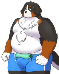 2020 4:5 anthro balls_outline belly black_body black_fur blush bodily_fluids brown_body brown_fur bulge canid canine canis clothing domestic_dog fur genital_outline hi_res kemono male male_only mammal moobs overweight overweight_male penis_outline simple_background solo sweat underwear white_background white_body white_fur yaki_atsuage