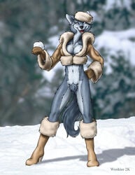 anthro breasts canid canine clothed clothing female fur genitals looking_at_viewer mammal nipples pussy solo wooky