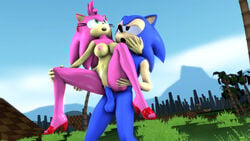 3d absurd_res amy_rose anthro arm_around_neck classic_amy_rose classic_sonic clothing duo eulipotyphlan female female_penetrated footwear green_hill_zone hands_under_legs hedgehog hi_res high_heels male male_penetrating male_penetrating_female mammal moan penetration sega sex shoes sonic_(series) sonic_cd sonic_the_hedgehog sonic_the_hedgehog_(series) sonicthebitch source_filmmaker standing standing_sex straight