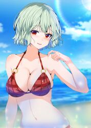 2d big_breasts bikini bikini_top breasts female green_hair kazami_yuuka kitaura_kasumi large_breasts thick_thighs touhou
