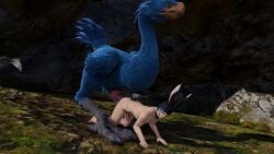 anal chocobo final_fantasy_xiv gpose(ffxiv) knotted_penis male/male penis viera zoophilia