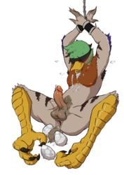 anatid anseriform anthro anus armpit_hair avian balls bird blindfold bodily_fluids body_hair bondage bound cum cum_on_self duck egg egg_laying father_hill gaping gaping_anus genital_fluids genitals hi_res humanoid_genitalia humanoid_penis male male_only penis solo