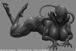 female xenomorph from alien (franchise) by nihilophant