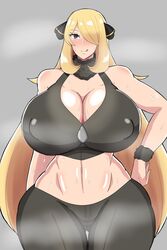 cynthia (pokemon) from nintendo by ayamahi