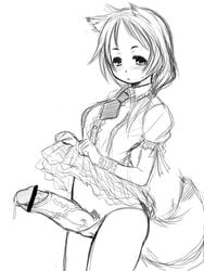 animal_ear blush fox_ear fox_tail futanari intersex monochrome panties penis precum retsu_maru short_hair skirt_lift tail underwear