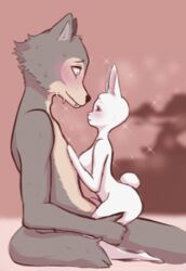 anthro anthro_on_anthro barely_visible_genitalia barely_visible_penis beastars bodily_fluids breasts canid canine canis domestic_rabbit duo dwarf_rabbit female fur genitals grey_body grey_fur haru_(beastars) hi_res interspecies lagomorph larger_male legoshi_(beastars) leporid male mammal nervous nude on_lap oryctolagus peachkuns penis predator/prey rabbit romantic_ambiance romantic_couple sitting_on_lap size_difference smaller_female straddling straight sweat white_body white_fur wolf