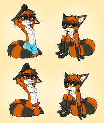 anthro bad_guy_cafe black_body black_fur blue_eyes breasts erection eyewear female foxoon fur genitals glasses group heterochromia hi_res kiro_(kiroyal) male orange_body orange_fur penis pussy rule_63 stripes yellow_eyes ziegelzeig