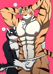 anthro bearlovestiger13 blue_eyes blush bulge canid canine canis clothing domestic_dog duo felid gay gou_(character) hi_res hug husky jockstrap kuugo_(character) lagoon_lounge male male/male mammal muscular nordic_sled_dog nude pantherine simple_background size_difference spitz tiger underwear yaoi