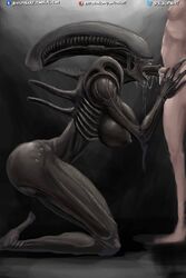 1boy 1boy1girl 1girls alien_(franchise) alien_girl big_breasts blowjob fellatio female female_xenomorph feral_penetrated human interspecies light-skinned_male light_skin lips male monster nihilophant open_mouth straight xenomorph