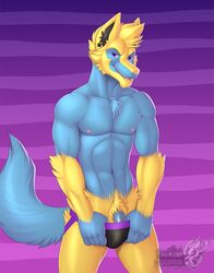 1boy 2020 abs anthro anthrofied bulge clothing dated eye_contact furry half-closed_eyes hi_res jockstrap looking_at_viewer male male_only manectric nintendo penis pokémon_(species) pokemon pokemon_rse solo suitric_(it5j4yh1mself) text topless underwear vallhund video_games watermark yaoi