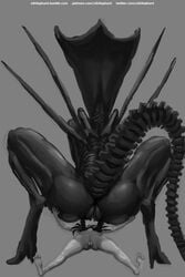 alien alien_(franchise) big_ass female_xenomorph human larger_female nihilophant pussy ride smaller_male xenomorph xenomorph_queen