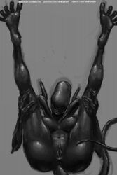 female xenomorph from alien (franchise) by nihilophant
