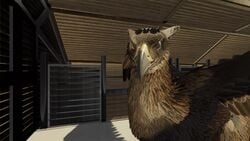 3d animated blowjob cum cum_on_face cum_on_viewer cumshot erection facefuck feathers feral forced fur furry gay gryphon male_focus male_only no_sound oral penis pov raven555 submissive_pov taker_pov video wings yaoi