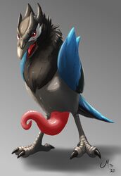 1boy 2020 avian big_penis bird black_body black_feathers blue_body blue_feathers claws cloaca corvid corvisquire dated eye_contact feathers feral half-closed_eyes hi_res large_penis long_penis looking_at_viewer magpi male male_only nintendo penis pink_penis pokémon_(species) pokemon pokemon_ss prehensile_penis red_eyes simple_background solo tail_feathers talons tapering_penis text video_games watermark wings