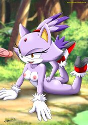 blaze the cat from sega by bbmbbf