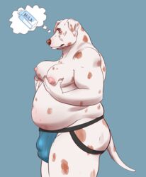 anthro breast_grab breasts bulge canid canine canis clothing dalmatian domestic_dog hand_on_breast jockstrap male male_only mammal overweight overweight_male slightly_chubby solo thinking treebarkdragon underwear