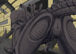 1girls alien_(franchise) alien_girl anus ass bent_over butt dark_skin female female_only female_xenomorph fingerprint_(artist) lips pussy rear_view sci-fi tail xenomorph