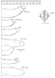 8boys chart circumcised comparison cuntboy foreskin hol_horse intersex jean_pierre_polnareff jojo's_bizarre_adventure jotaro_kujo male male_focus male_only mohammed_avdol multiple_boys n'doul noriaki_kakyoin partially_retracted_foreskin penis pubic_hair pussy retracted_foreskin stardust_crusaders steely_dan trashprincedio uncircumcised uncut vanilla_ice