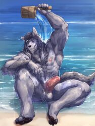 18forever 3:4 anthro arm_hair baiyushou balls barazoku bathing beach body_hair bucket canid canine canis casual_erection casual_nudity chest_hair chest_tuft claws erection genitals happy_trail hi_res humanoid_genitalia humanoid_penis male male_only mammal muscular muscular_male nude pawpads penis seaside solo story story_in_description tuft water wet wolf