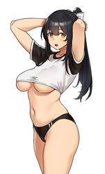 1girls big_breasts black_hair breasts cleavage crop_top elf elf_(houtengeki) female female_only houtengeki large_breasts looking_at_viewer original panties solo underboob yellow_eyes