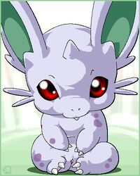 color female female_only feral front_view meru nidoran nidoran♀ nude pokemon red_eyes sitting solo tagme vulva