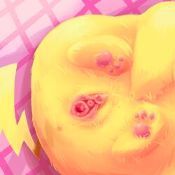 anus color dayan female female_only fur furry nintendo nudity pikachu pokemon pokemon_rgby pussy solo vulva yellow_fur