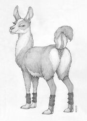 anus camelid ear_piercing ear_ring ecmajor eyelashes female feral fur genitals heart hi_res hooves llama looking_at_viewer looking_back mammal monochrome one_eye_closed piercing pussy quadruped raised_tail rear_view short_tail simple_background smile solo standing tattoo white_background wink