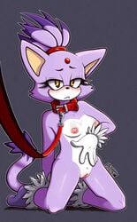 anthro belt_collar blaze_the_cat blush breasts cat_ears collar collar_and_leash ditoxin feline female female_only femsub furry humanoid leash leash_pull looking_at_viewer naked pussy socks solo_female sonic_(series)