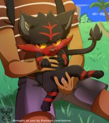 1boy 1girls blush cute dark-skinned_male dark_skin embarrassed fan_character feline female feral fingering furry grass human_on_feral interspecies larger_male litten male mammal nintendo patreon poképhilia pokemon pokemon_sm pussy size_difference smaller_female source_request text url vaginal_fingering watermark wet xnirox