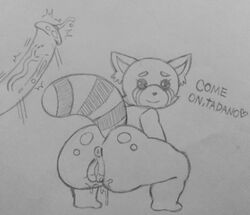 Tadano (Aggretsuko) Rule 34 Image