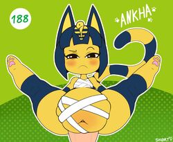 2020 animal_crossing ankha blush cum cum_inflation cum_inside disembodied_penis looking_at_viewer nintendo penis serious shorty_stories source_request spread_legs stomach_bulge