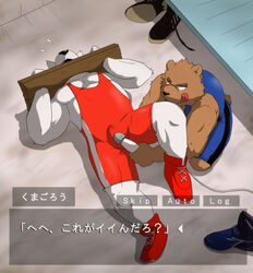 2013 anthro black_nose brown_body brown_fur canid canine clothing duo erection erection_under_clothing fur gameplay_mechanics grey_body grey_fur hasukichi humanoid_hands japanese_text kemono lying male male_only mammal overweight overweight_male sex_toy sitting text ursid vibrator wrestling_singlet