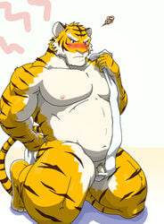 2008 anthro asian_clothing balls belly blue_eyes blush censored clothing east_asian_clothing felid fundoshi genitals humanoid_genitalia humanoid_penis japanese_clothing kemono male male_only mammal manya moobs nipples overweight overweight_male pantherine penis simple_background small_penis solo tiger underwear white_background