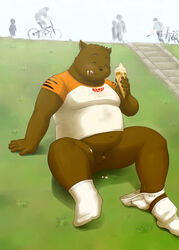 2010 anthro black_nose brown_body brown_fur closed_eyes clothing dessert food fur genitals group humanoid_genitalia humanoid_penis ice_cream kemono male male_focus mammal manya outside overweight overweight_male penis sitting small_penis solo_focus underwear ursid