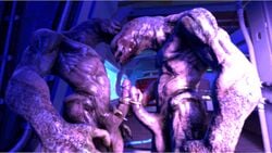 3d abs alien animated balls biceps circumcised erection frottage gay halo_(series) ictonica male/male male_sangheili_(halo) muscular muscular_male nails nipples obliques pecs penis ribs sangheili scalie serratus_anterior sfm sound teeth testicles triceps veiny video voice_acted yaoi